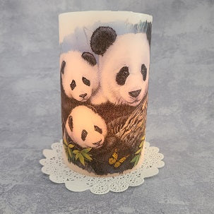 Panda and Cubs Hurricane set - maidenmidwest